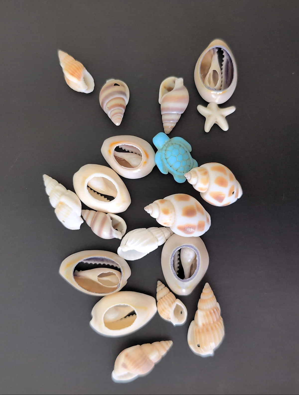 Mix Shells