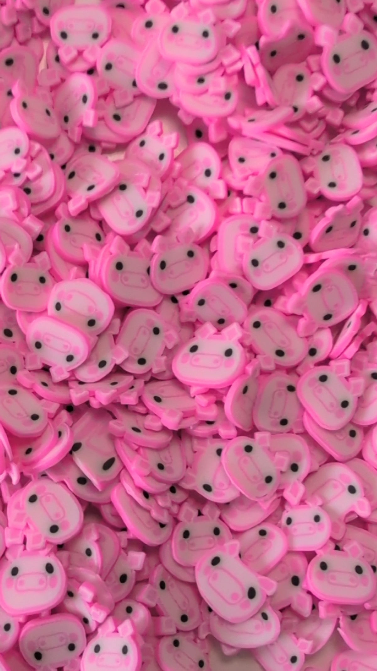 Pig Polymer Clay