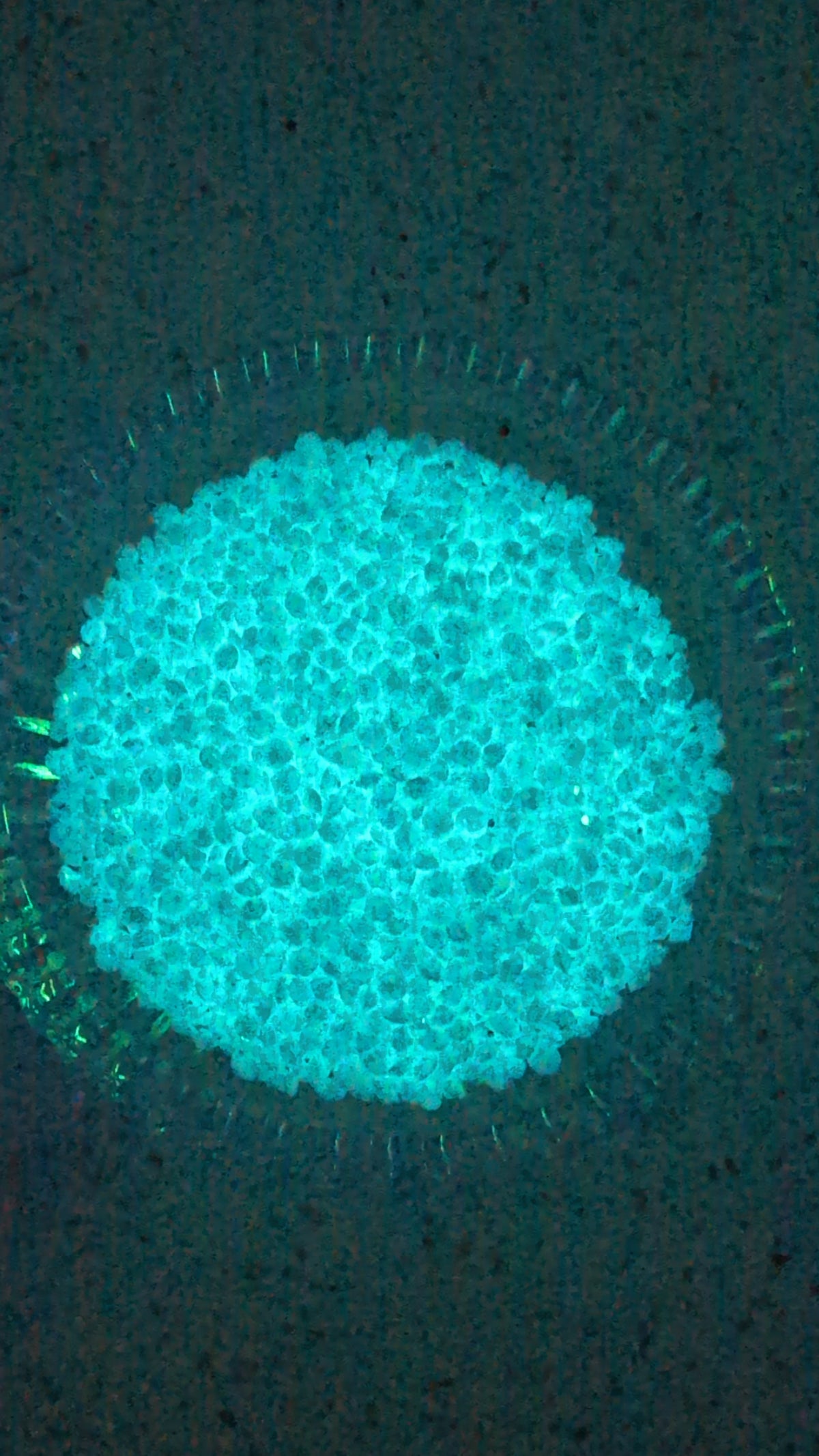 Glow in the Dark Rhinestones